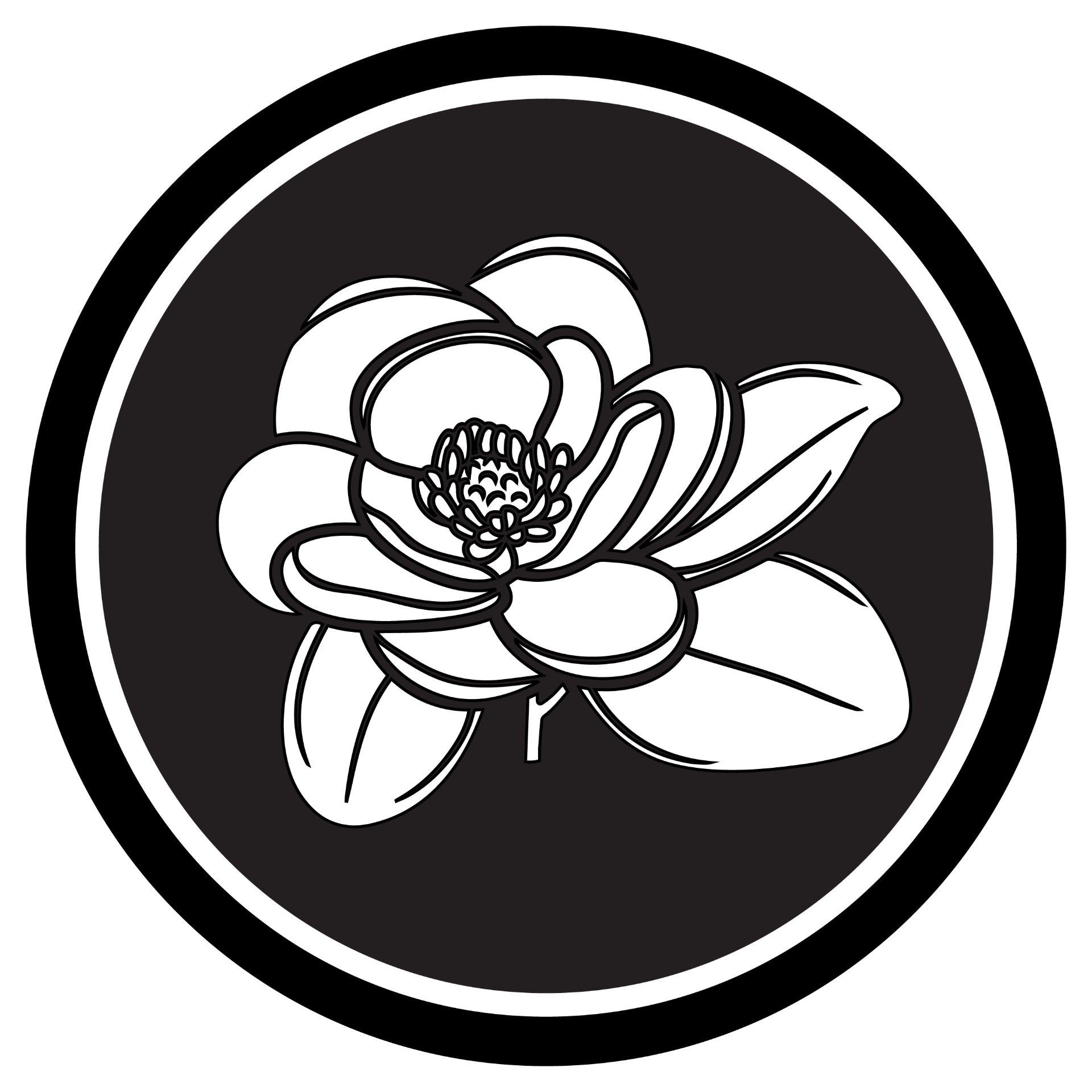 Magnolia Window Coverings